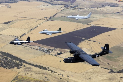 九游娱乐-Rookie赛事官方发布问鼎冠军新规，澳大利亚队争议不断！的简单介绍